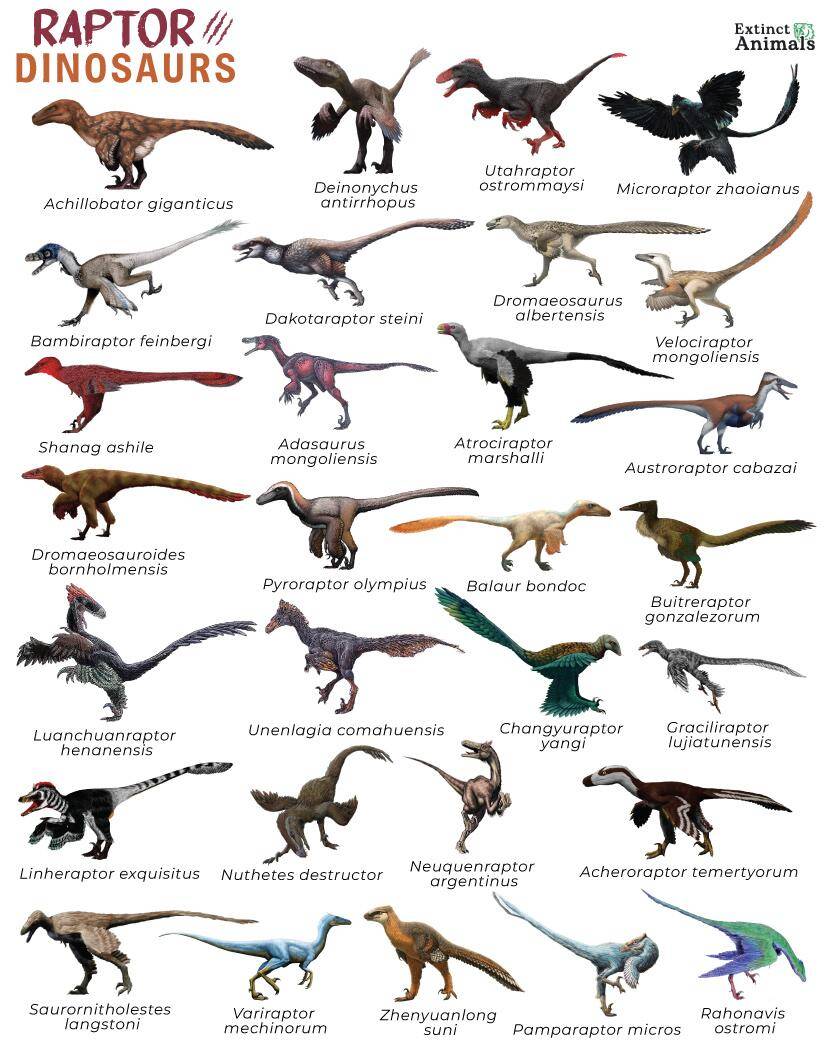 dinosaur-logo-or-bird-logo-ranger6g-2024-ranger-raptor-forum