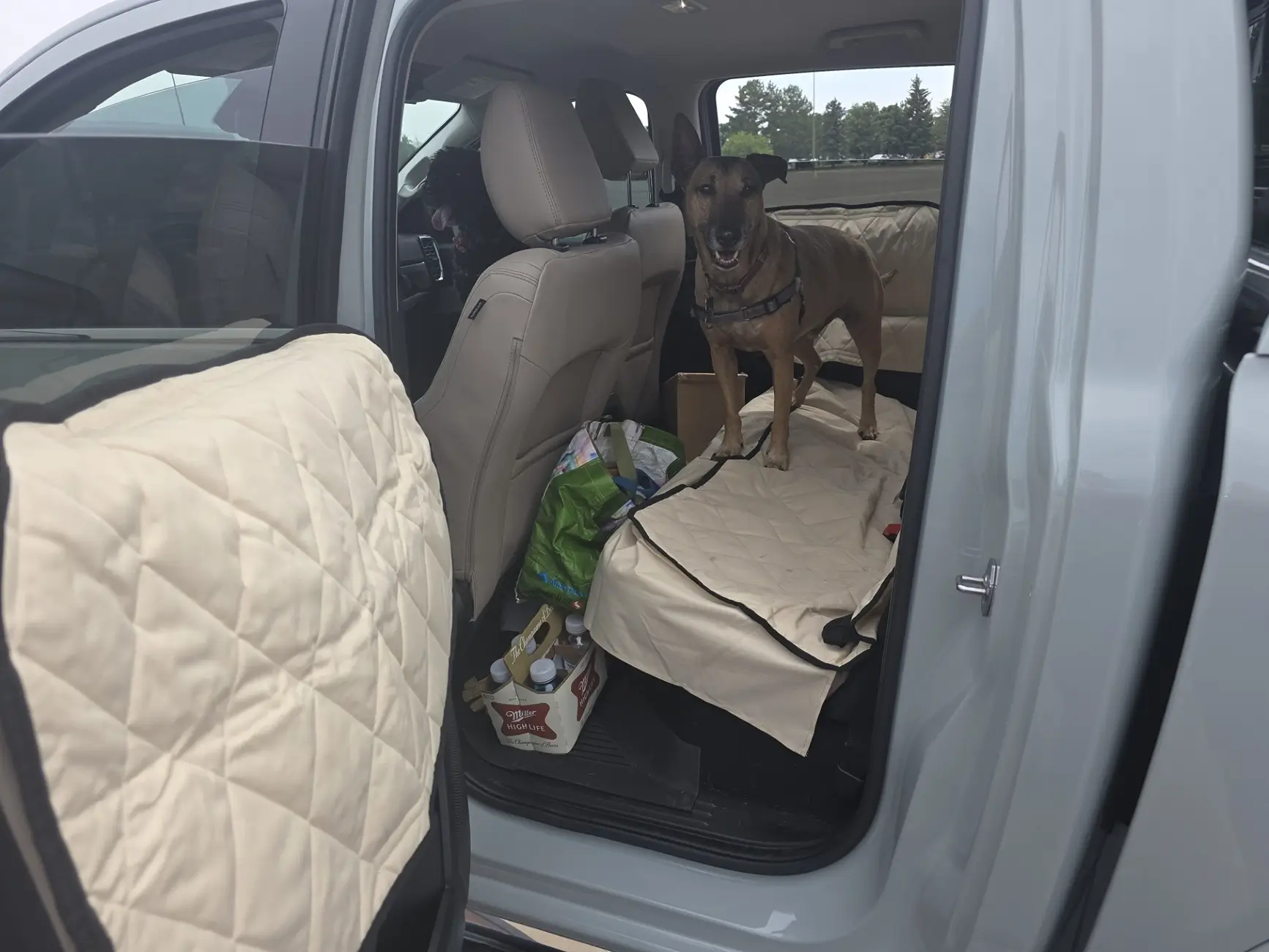 Backseat protector for dogs | Page 2 | Ranger6G - 2024+ Ranger & Raptor ...
