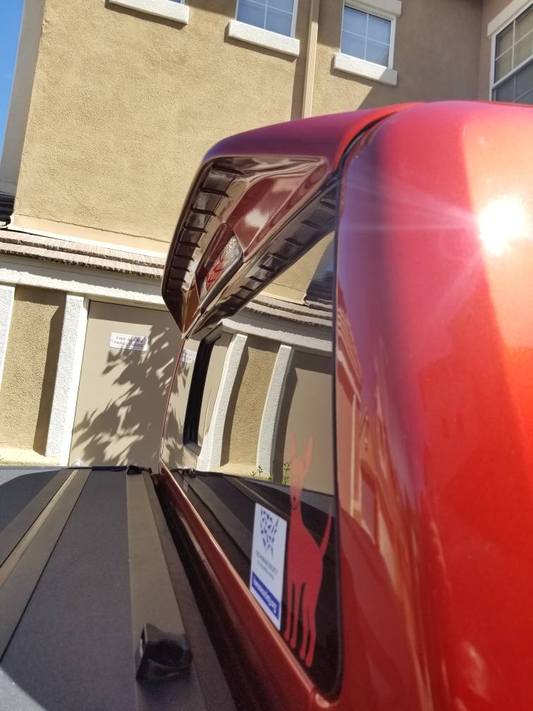 Ford Ranger HOT PEPPER RED Ranger Club Thread 2929B2CB-E103-4E61-9BAD-83381FF6AD5A