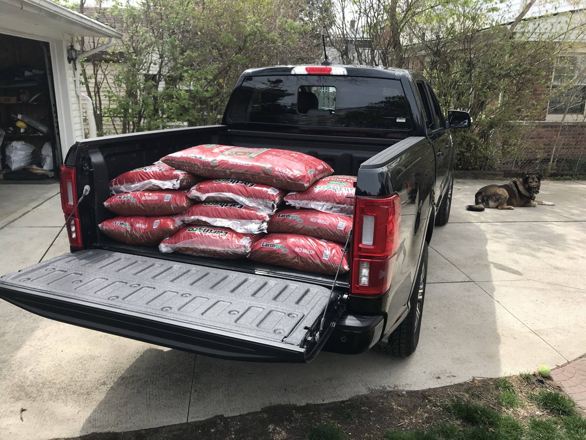 Ford Ranger 2019 Ranger's Hauling Things Thread 4AF5AA7C-D296-4075-8AA8-FD8620680BDD