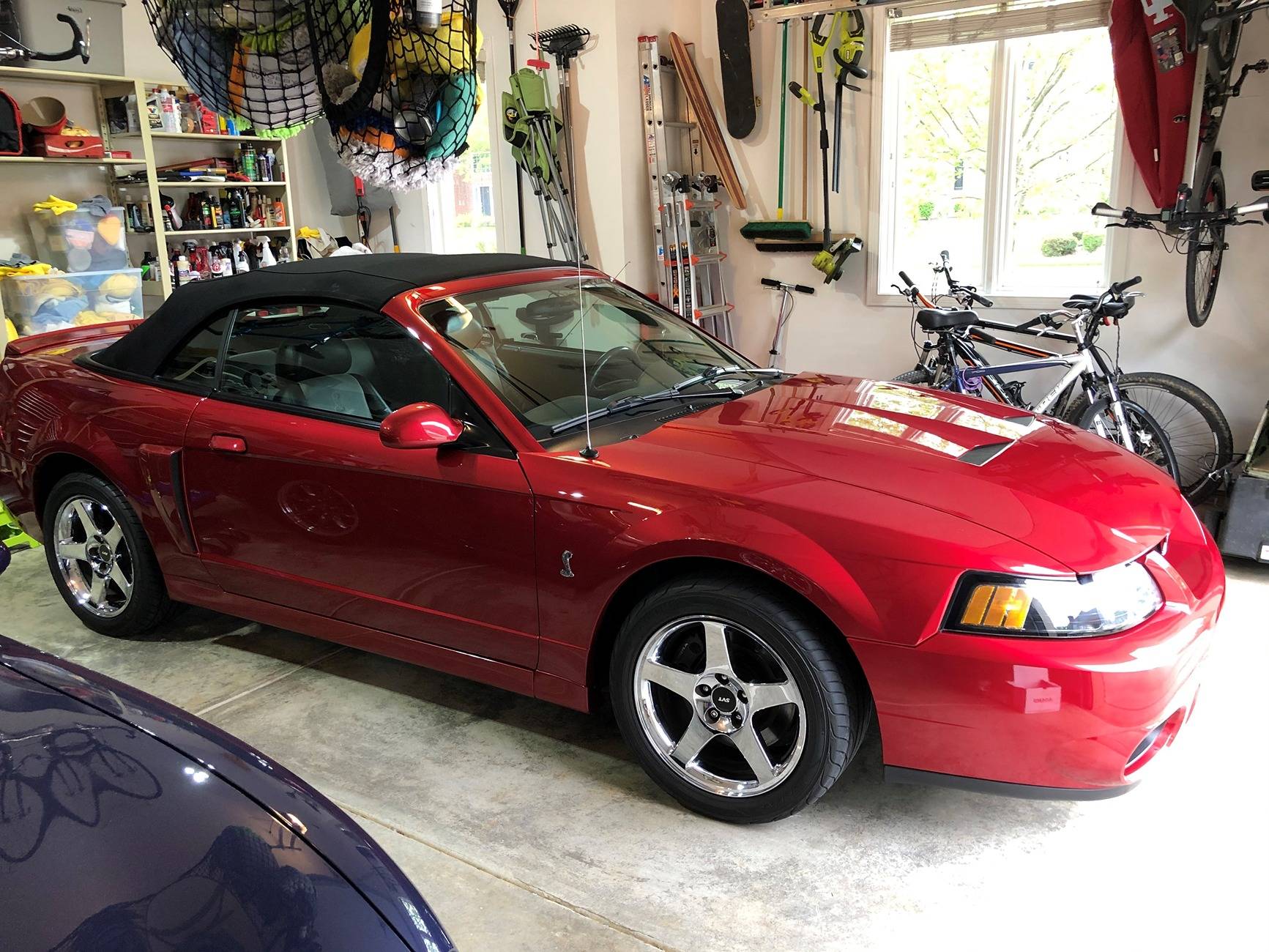 Ford Ranger What's in the garage besides your Ranger cobra ceramic 2
