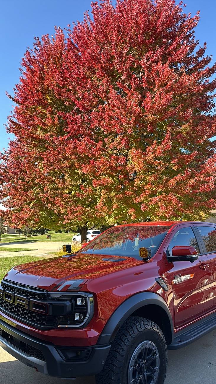 Ford Ranger Official HOT PEPPER RED Ranger Raptor thread IMG_0228
