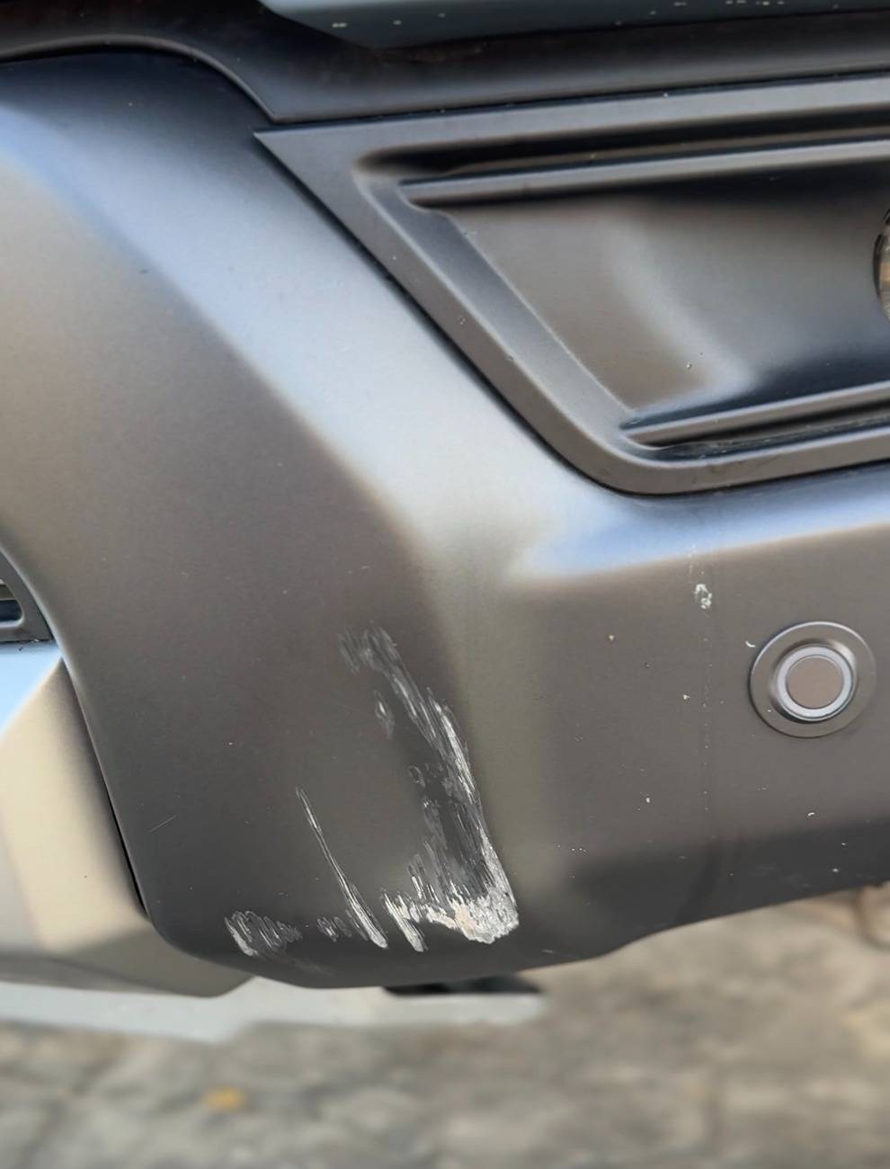 Ford Ranger 2024 Ranger Raptor Fender Flare and Bumper Surrounds Paint Matched? IMG_0547