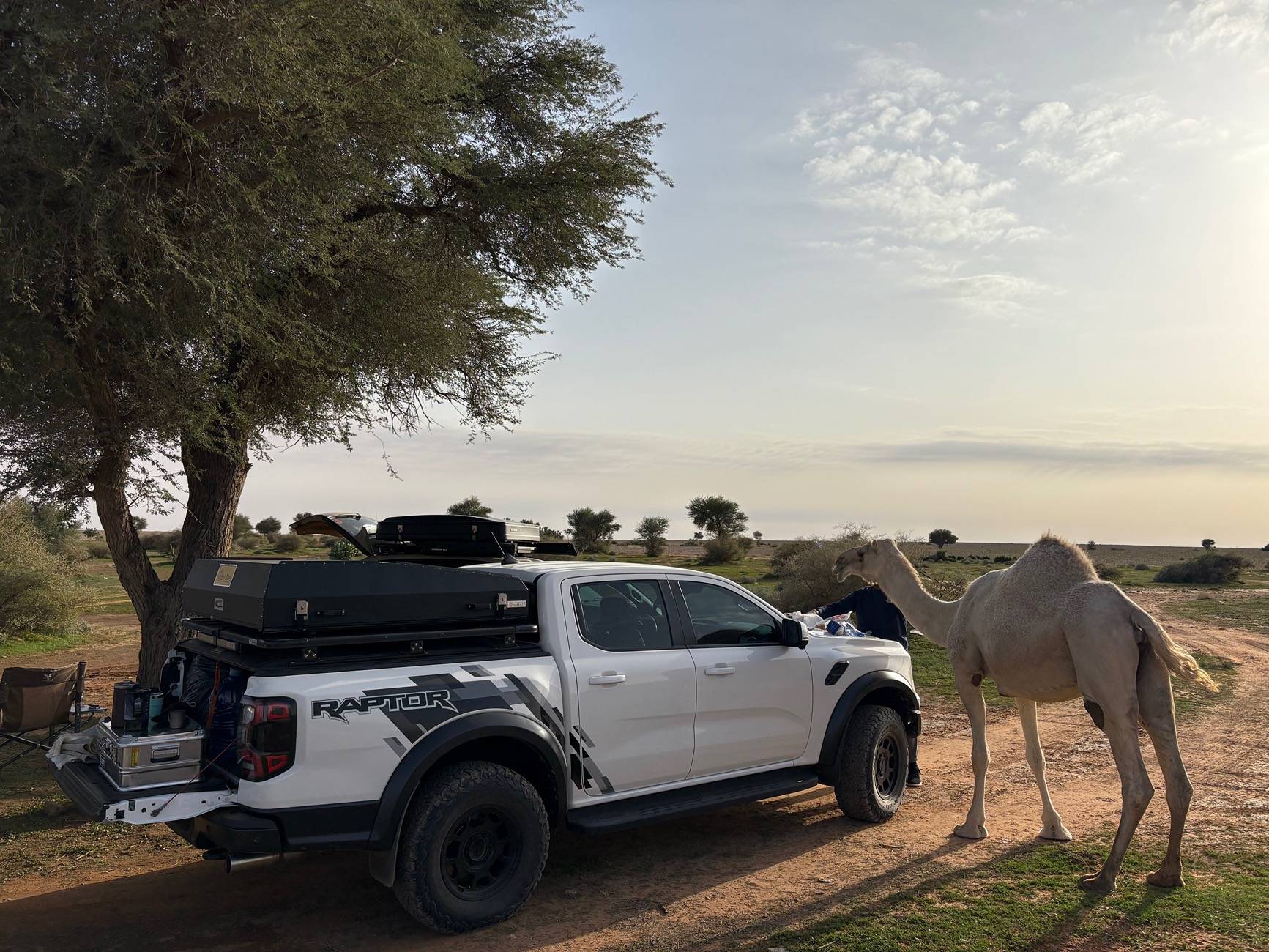 Oxford White Rangers | Page 2 | Ranger6G - 2024+ Ranger & Raptor Forum ...