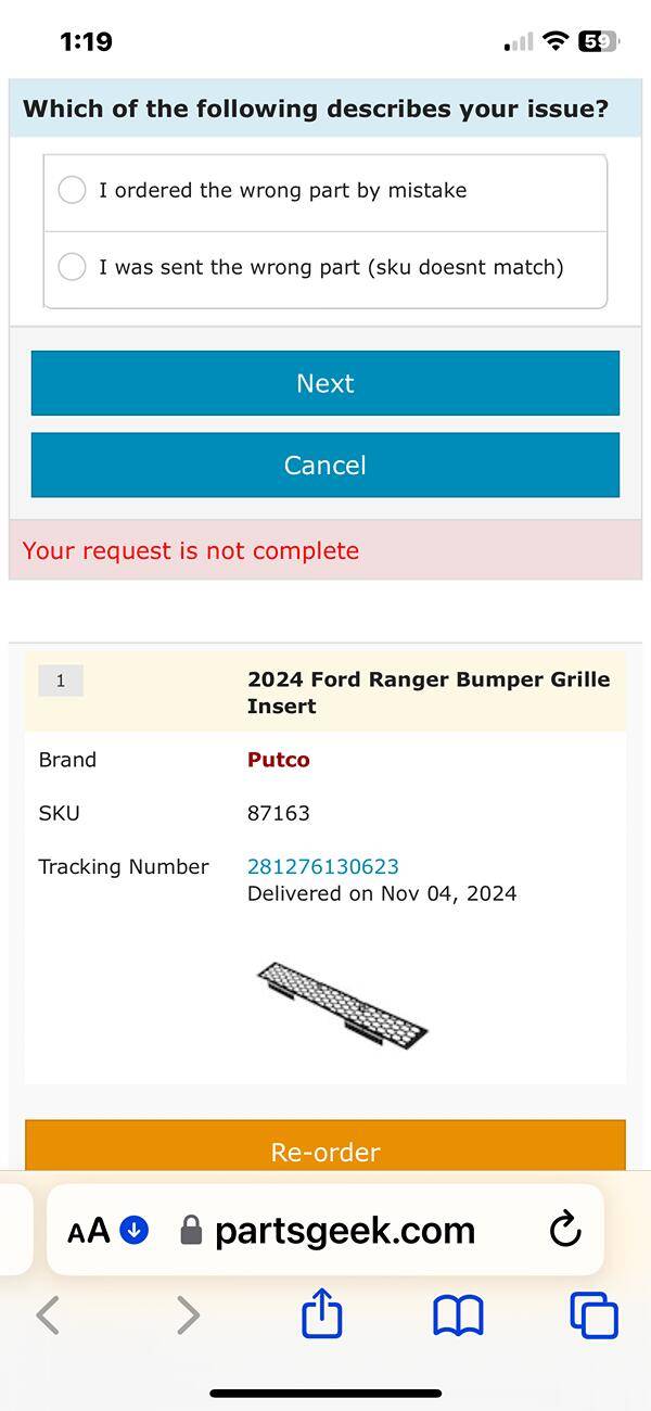 Ford Ranger Putco Ranger Grill Insert IMG_5621