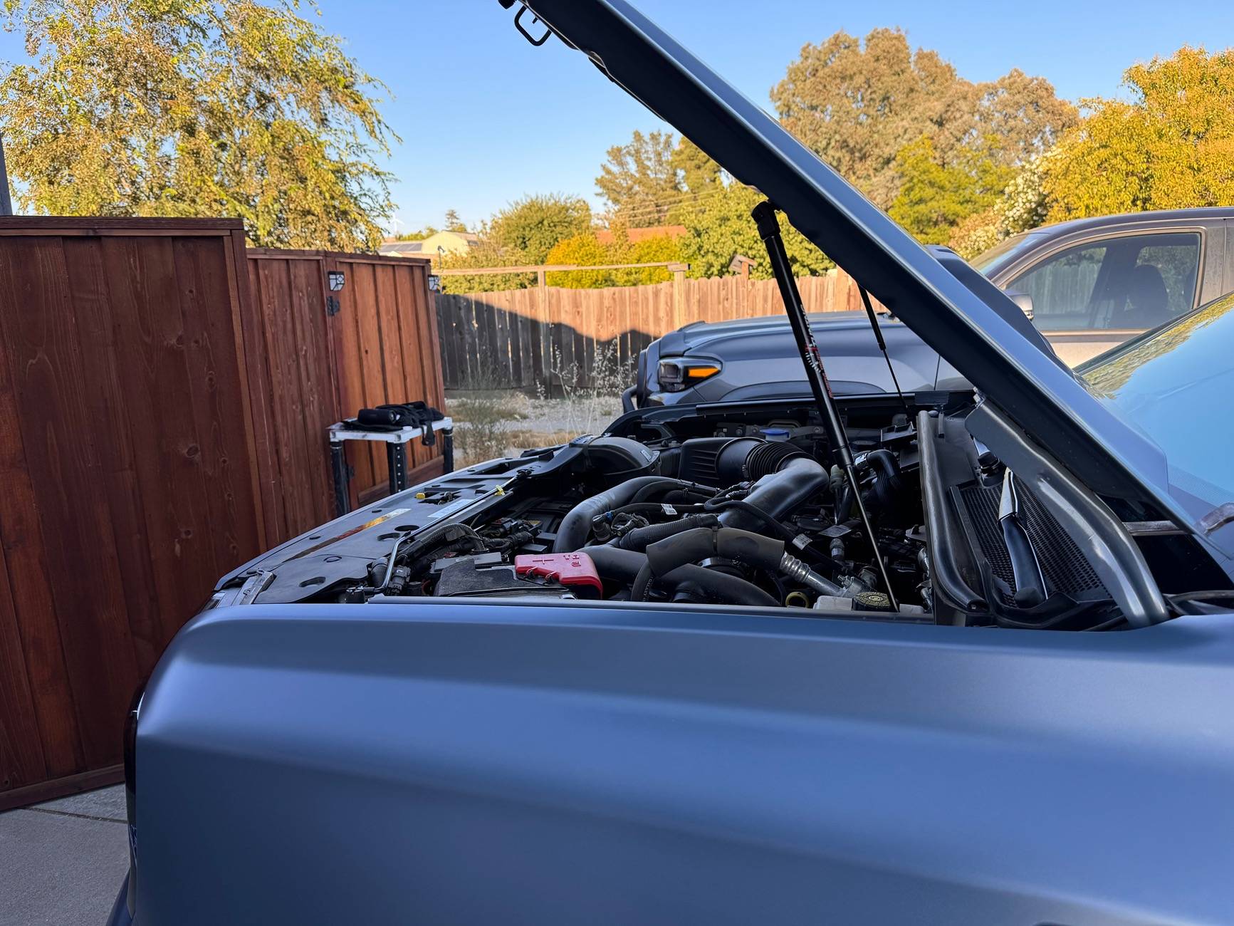 Ford Ranger Installed Redline Tuning Bolt in Hood Struts! IMG_6967