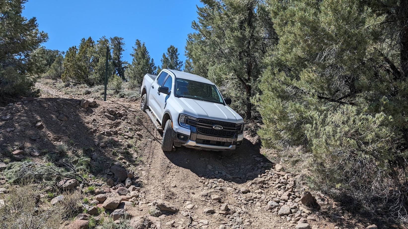 Ford Ranger My Ranger Raptor Off Roading Pics… PXL_20240418_180210715 (1)
