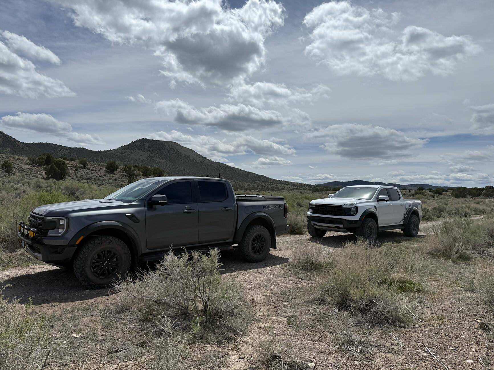 Ford Ranger Ranger Raptor Photos Thread - Post Your Random Dailys 📸 tempImageUI7WBT